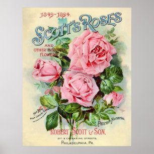 Affiches Illustration du capot de catalogue de fleurs Vinta
