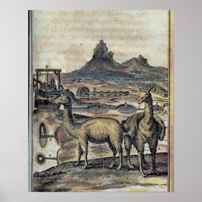 Affiches Illustration from a history of Pérou (Devant)