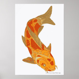 Affiches Illustration numérique de Koi Carp