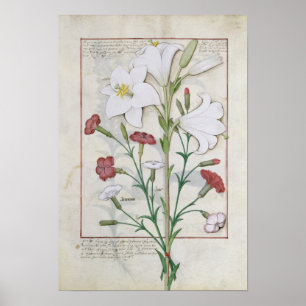 Affiches Illustration tirée du livre "Book of Simple"