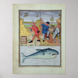 Affiches Illustration tirée du "Livre des médicaments simpl