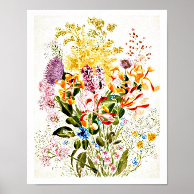 Affiches Illustration Vintage-Beatrix Potter 10 (Devant)