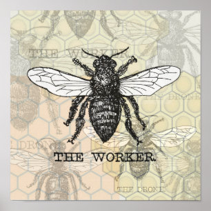 Affiches Illustration vintage d'abeille ouvrière