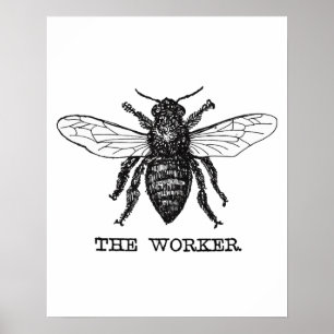 Affiches Illustration vintage d'abeille ouvrière