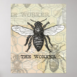 Affiches Illustration vintage d'abeille ouvrière