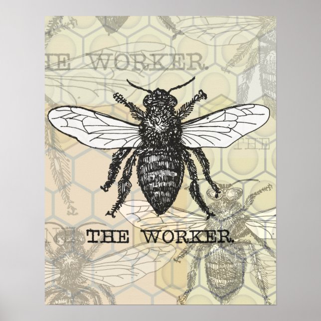 Affiches Illustration vintage d'abeille ouvrière (Devant)