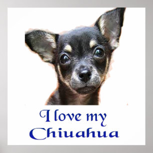 Affiches Ilovemychiwawatee