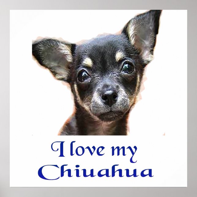 Affiches Ilovemychiwawatee (Devant)