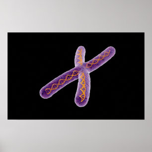Affiches Image Conceptuelle De Chromosome 2