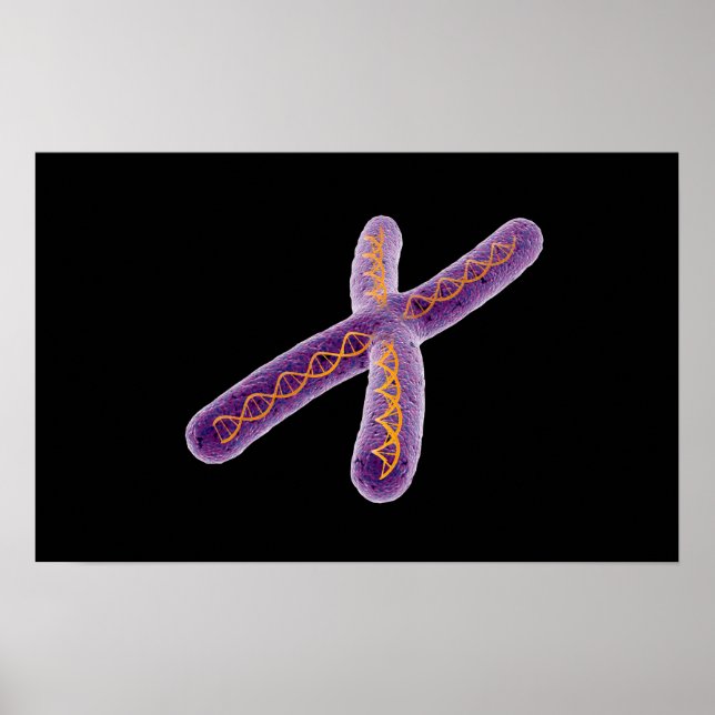Affiches Image Conceptuelle De Chromosome 2 (Devant)