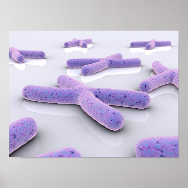 Affiches Image Conceptuelle De Chromosome 4 (Devant)