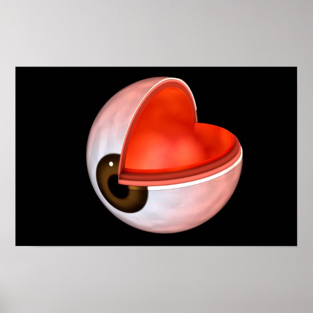 Affiches Image Conceptuelle De L'Anatomie Des Yeux Humains  (Devant)