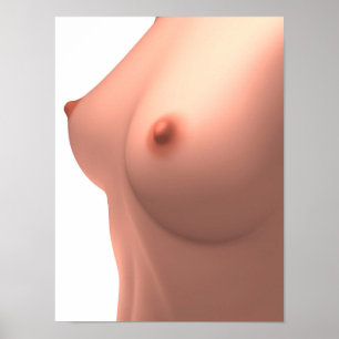 Affiches Image conceptuelle de sein femelle