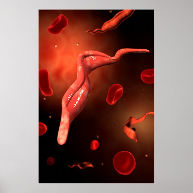 Affiches Image Conceptuelle De Trypanosoma 1 (Devant)