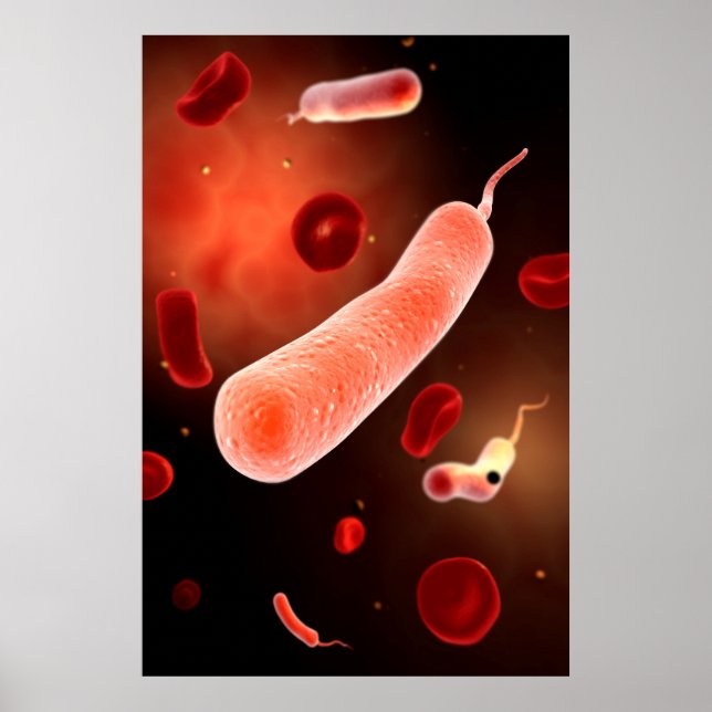 Affiches Image Conceptuelle De Vibrio Cholerae 2 (Devant)