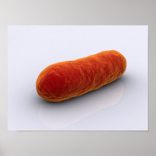 Affiches Image Conceptuelle Des Bactéries 4