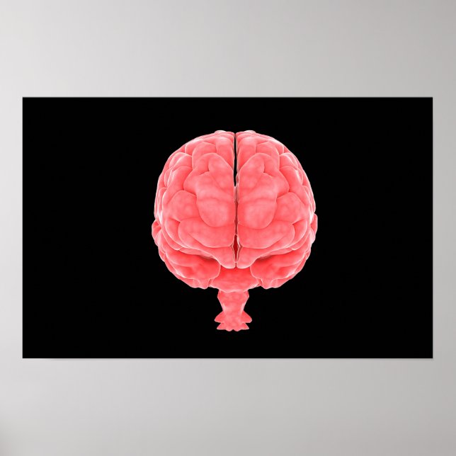 Affiches Image Conceptuelle Du Cerveau Humain 3 (Devant)