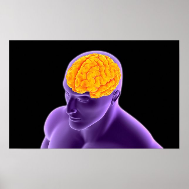 Affiches Image Conceptuelle Du Cerveau Humain 8 (Devant)
