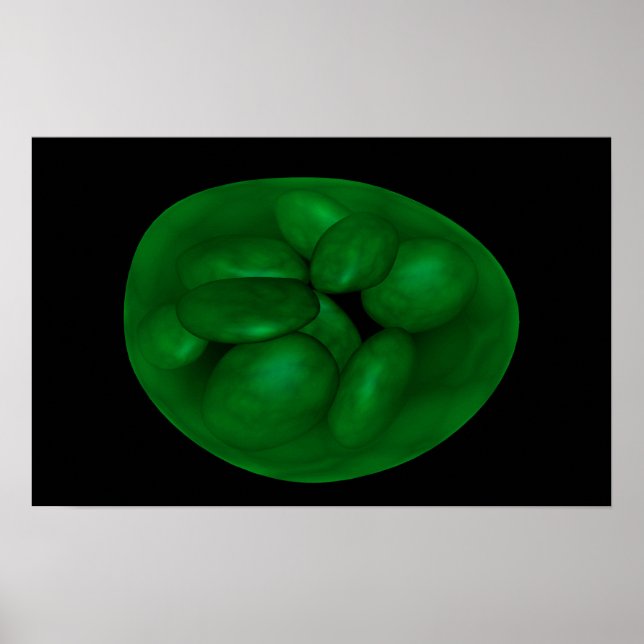 Affiches Image Conceptuelle Du Chloroplaste 2 (Devant)