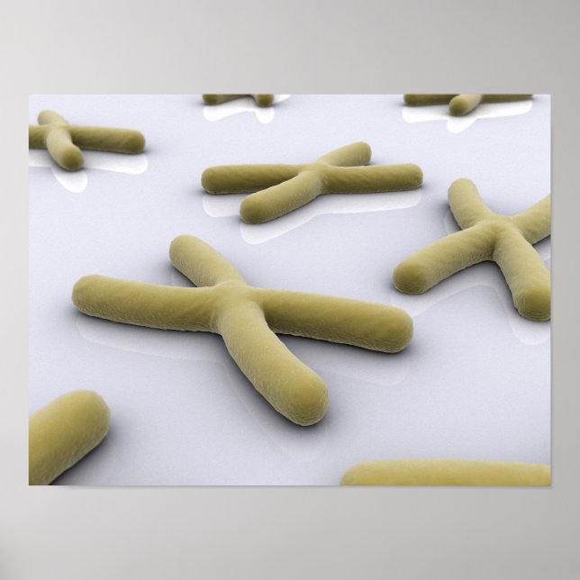 Affiches Image Conceptuelle Du Chromosome 1 (Devant)