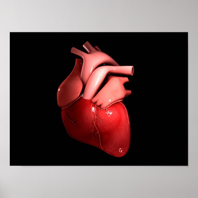 Affiches Image Conceptuelle Du Coeur Humain 1 (Devant)