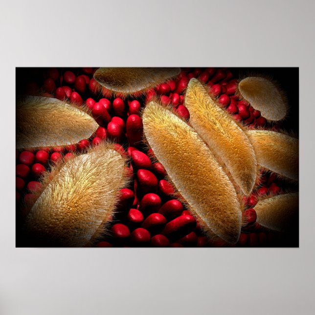 Affiches Image Conceptuelle Du Paramecium 1 (Devant)