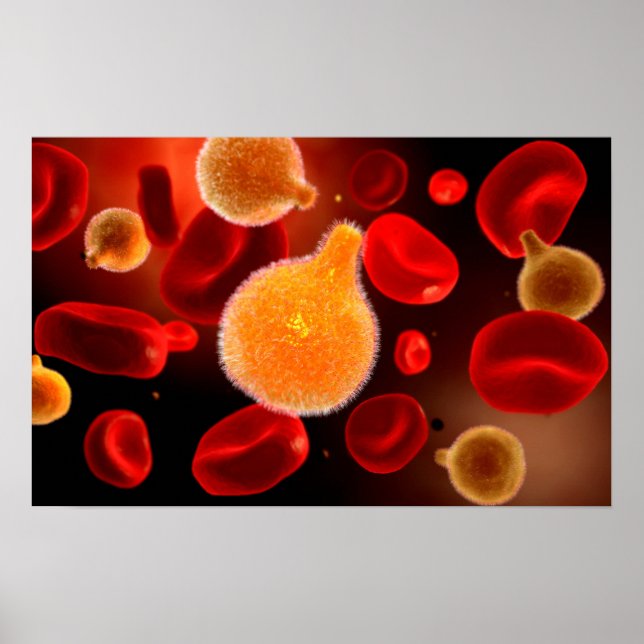 Affiches Image Conceptuelle Du Plasmodium À L'Origine Du Pa (Devant)