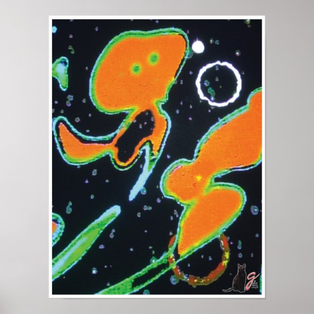 Affiches Image de Punkin KC (Devant)