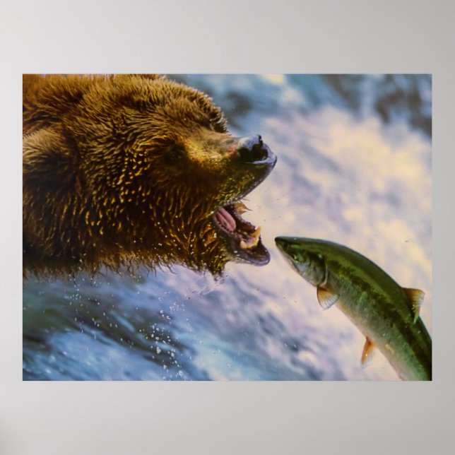 Affiches Image saumon de l'ours grizzli Extraordinaire (Devant)