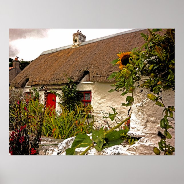 Affiches Imaginaire chalet irlandais (Devant)
