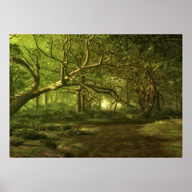 Affiches Imaginaire forestier (Devant)