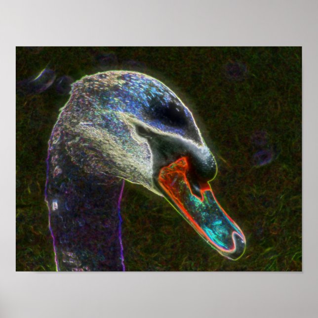 Affiches Imaginaire Swan Animal Art (Devant)