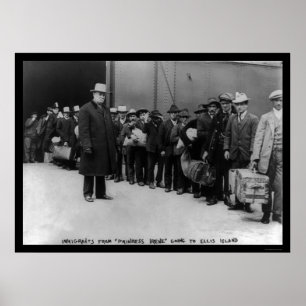 Affiches Immigrés allant à l'île d'Ellis 1911