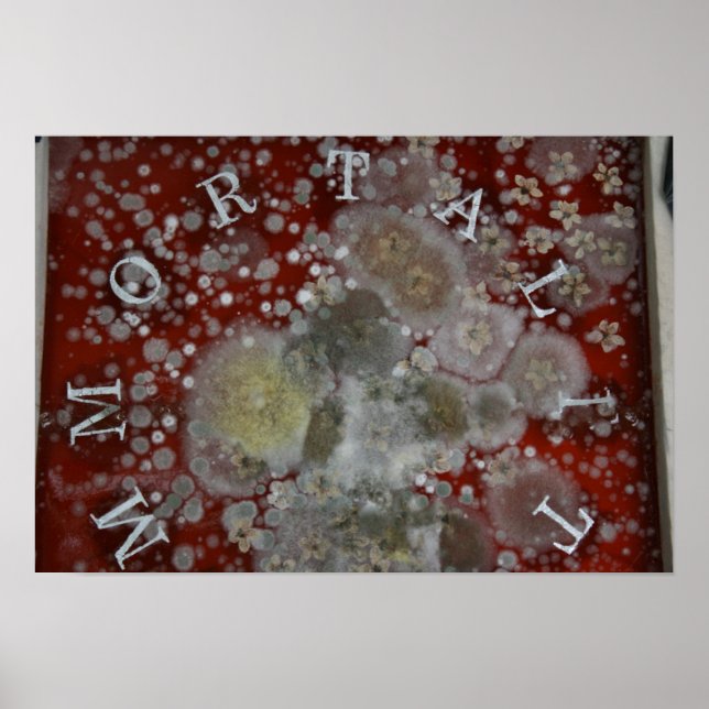 Affiches Immortalité (Devant)