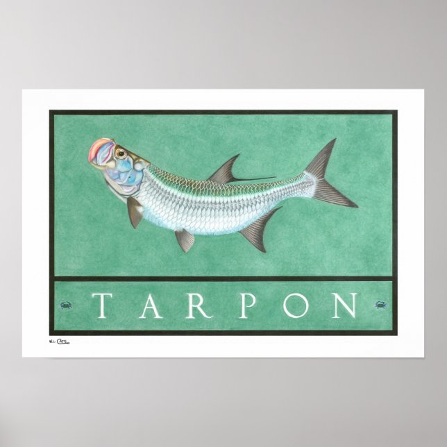 Affiches, impressions et cadres de Tarpon (Devant)