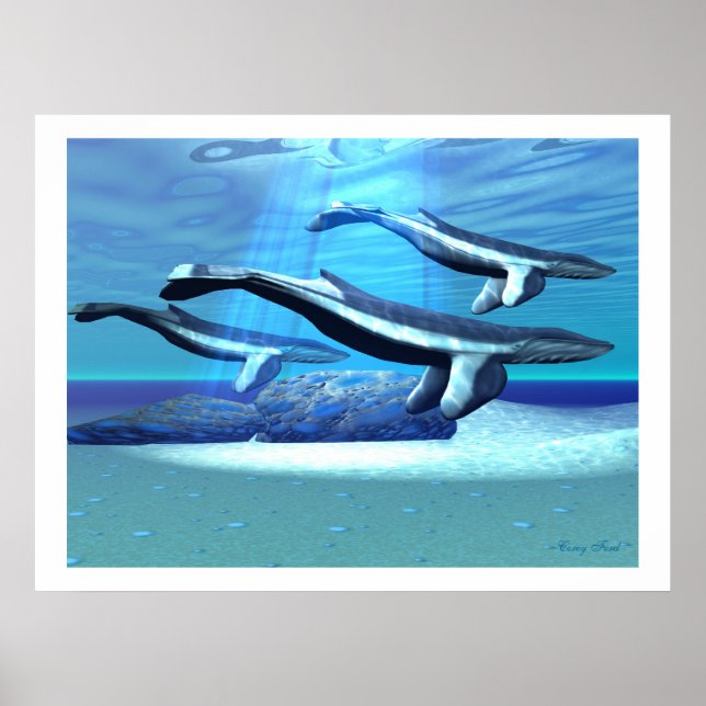 AFFICHES IMPRIMANTE SANTUAIRE BLEUE BALEINE (Devant)