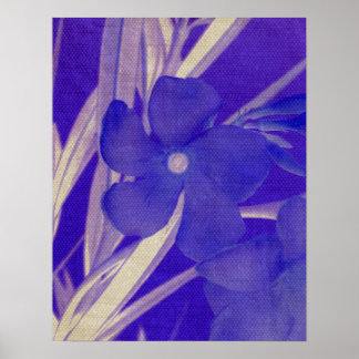 Affiches Imprimantes florales bleues