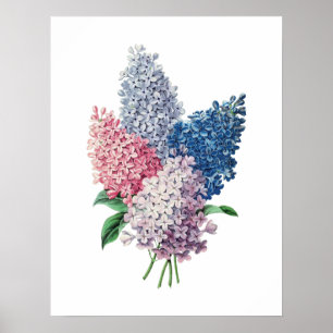 Affiches imprimé botanique de bouquet LILACS
