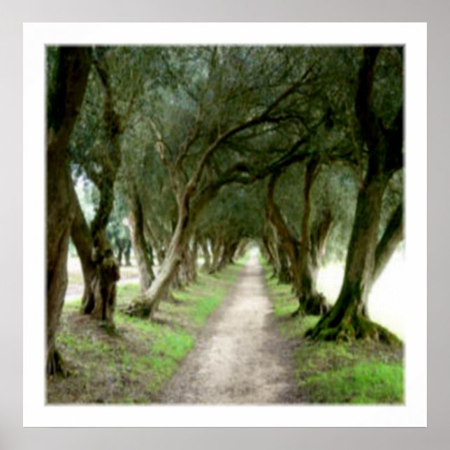 Affiches Imprimé Jardin d'Olive (Devant)