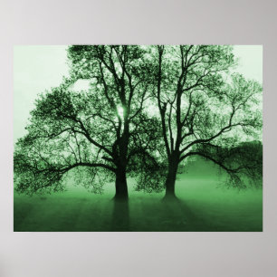 Affiches IMPRIMER - 2 grands arbres verts