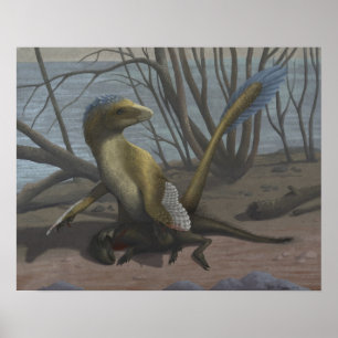 Affiches Imprimer Aptian Riverbank