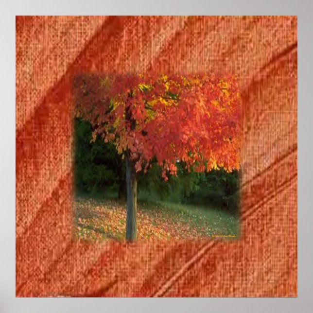 Affiches Imprimer automne (Devant)