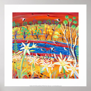 Affiches Imprimer : Banrock Station Pelicans and Lilies