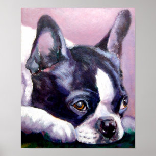 Affiches Imprimer Boston Terrier
