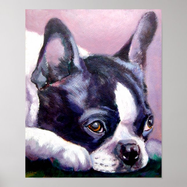 Affiches Imprimer Boston Terrier (Devant)