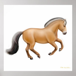 Affiches Imprimer Cheval du fjord norvégien