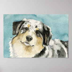 Affiches Imprimer Dog Art "Australian Shepherd"