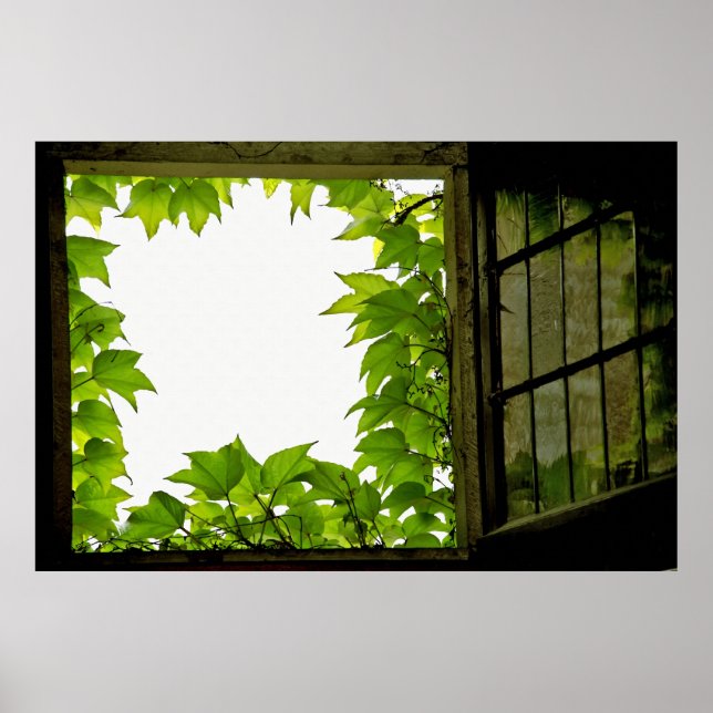 Affiches Imprimer la fenêtre (Devant)