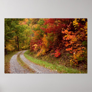 Affiches Imprimer la route d'automne