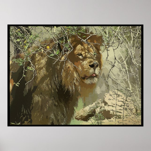 Affiches Imprimer - Le Roi de la Jungle (Devant)